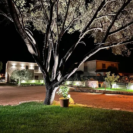 Karasole