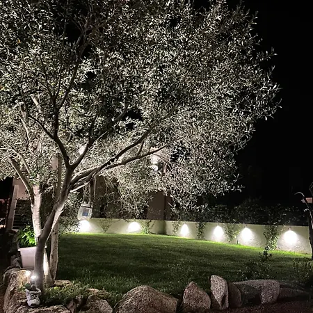 Karasole San Teodoro (Sardinia)